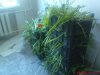 DSC00826.jpg