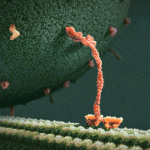кайф.gif