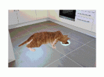 gif_ff8f3326dcf478afe0f3f6360ad32477.gif