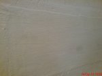 DSC00479.JPG