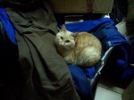 WP_001054.jpg