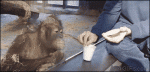 1449694399-06fb69d5da2957b89f6ee8c9fb044d3c.gif