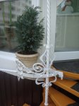 DSC07656.JPG
