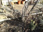20151225_095531.jpg