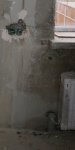 DSC02646.jpg
