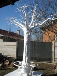 IMG_0206.JPG
