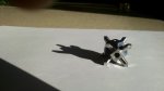 IMG_20160104_125226770.jpg