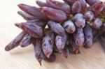 August-2-Witch-Finger-Grapes2.jpg