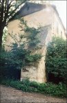 0016-1.jpg