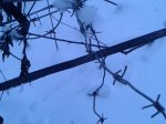 20160110_160552[1].jpg
