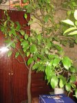 IMG_2272.jpg