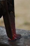 DSC_9083.JPG