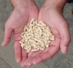 Pellets_hand.jpg