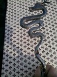 2016-01-15_11-29-31_890.jpg