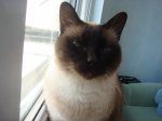 DSC07239.JPG
