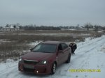 SDC10037.JPG