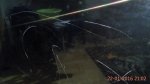 IMG_20160122_210202.jpg