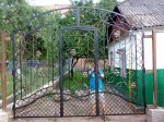 25062009805.jpg