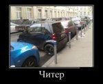 134.jpg