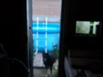 20150726_202707.jpg