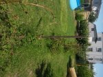 20150718_120659.jpg
