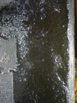 IMG_0172.jpg