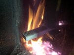 IMG_20160127_111236.jpg