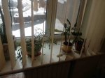 подоконник.jpg