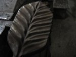 IMG_0004.JPG