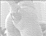 1453863743-9eb8c2f32fda751e5d1d074d14724088.gif