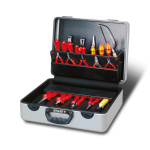 art_wk_cargo_1099000909.png
