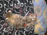 IMG_20160131_141238.jpg