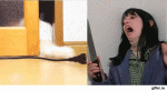 90703384.gif