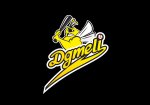 logo_dgmeli_work-02 с вадд (1).jpg