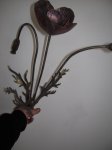 DSCN1848.JPG