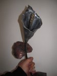 DSCN1849.JPG