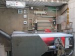 IMG_7991.jpg