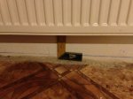 IMG_1754.JPG