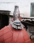 IMG0026A.jpg