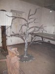 DSCN1862.JPG