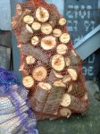 Фото0910.jpg