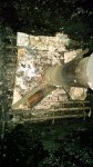 IMG_20160217_072700821.jpg