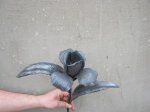 image (8).jpg