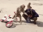 1447421696-73f6b86f403e8827a7c8dec2e675abff.gif