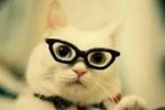upload_2016-2-22_11-5-12.jpeg