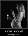 кури.jpg