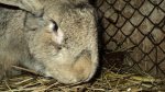 DSC04396.JPG