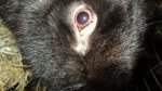 DSC04405.JPG