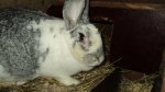 DSC04407.JPG