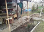 20160307_151505.jpg